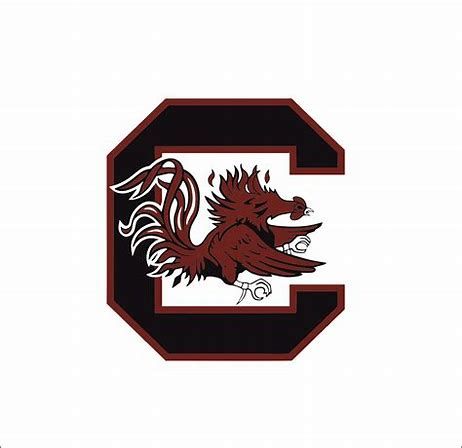 Ciondolo In Argento 925 University Of South Carolina – Gallo Gamecock 3D - Foto 1