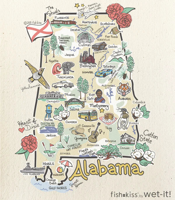 ALA Wet-It Dishcloth