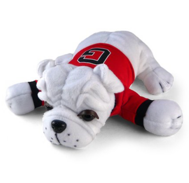 Uga online dog clothes