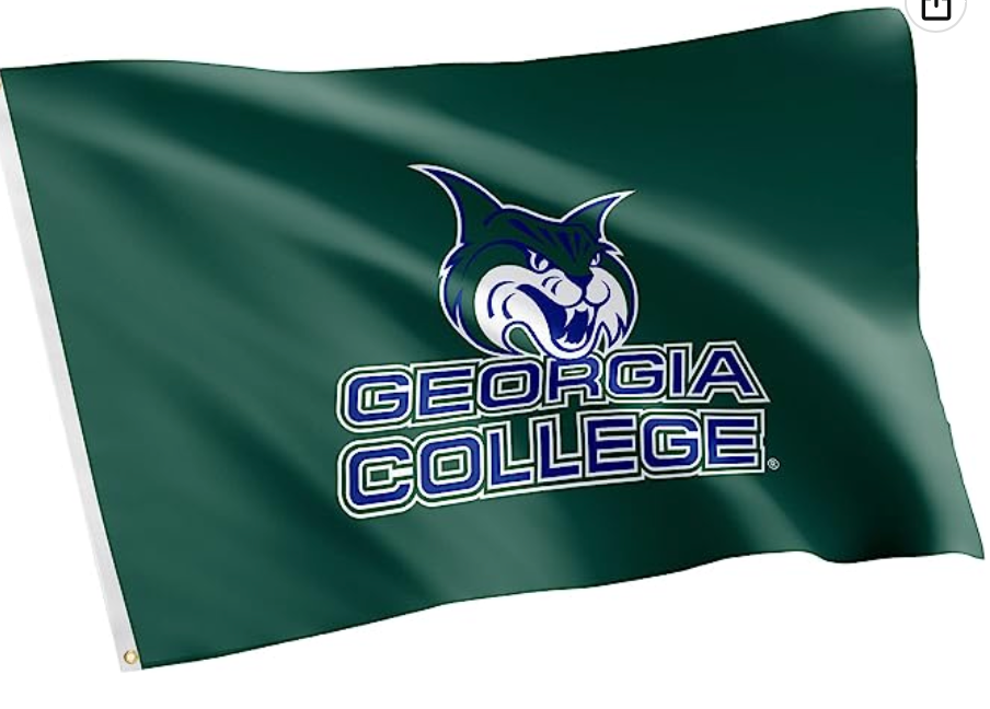 GCSU Car Flag