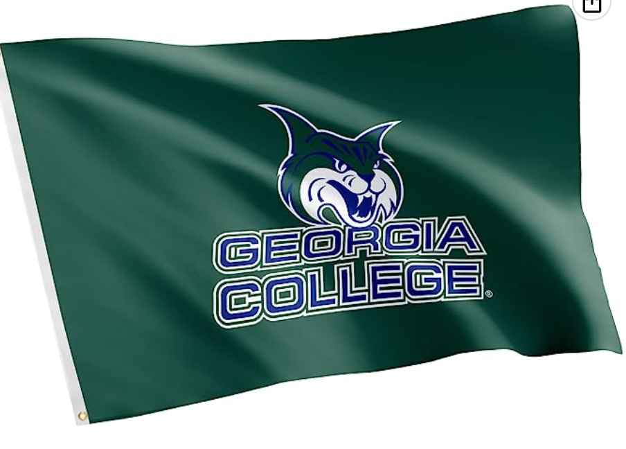 GCSU Car Flags