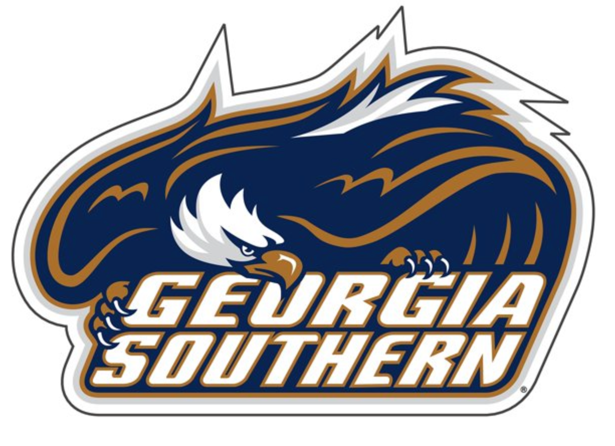 GS GATA Vintage Eagle Decal