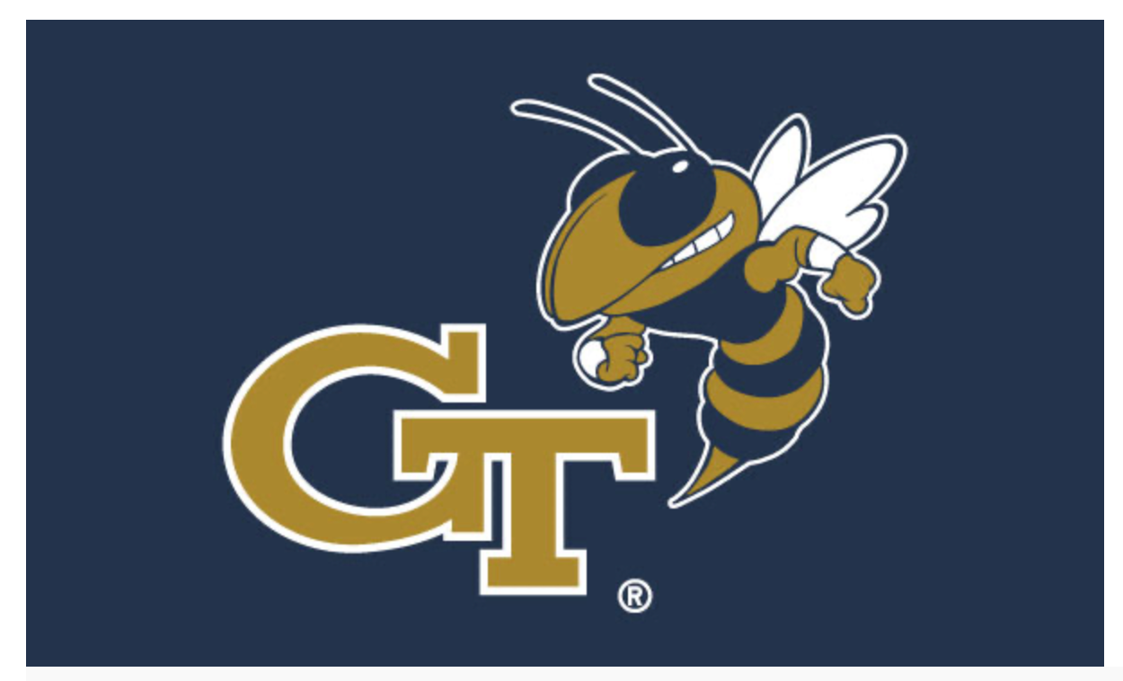 GA Tech 3 X 5 Flag with Buzz