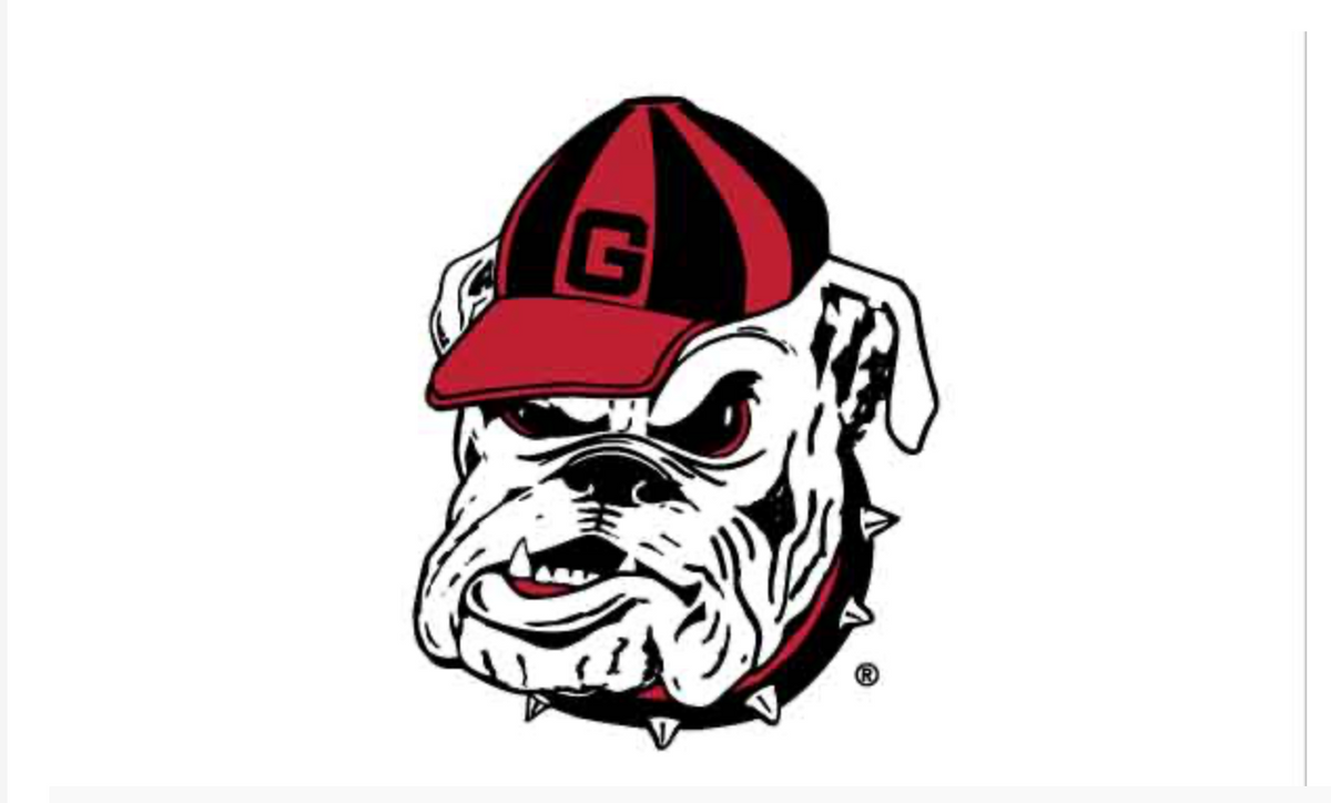 UGA 3' x 5' Old Dog Flag White