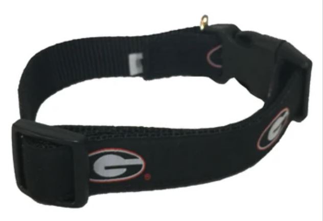 UGA Super G Dog Collar