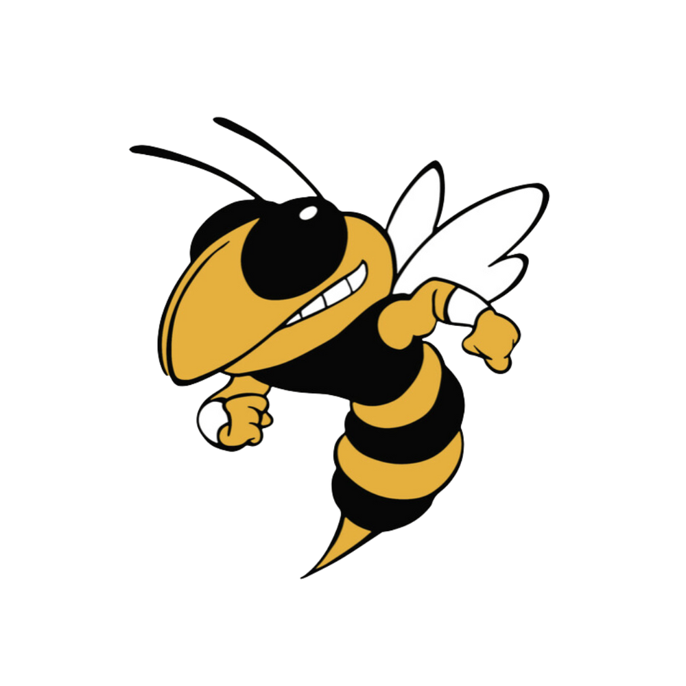GT Yellow Jackets