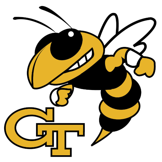 Georgia Institute of Technology