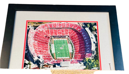 UGA Sanford Stadium Sports Showcase