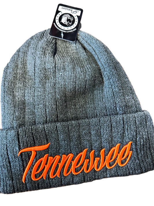 UT Beanies