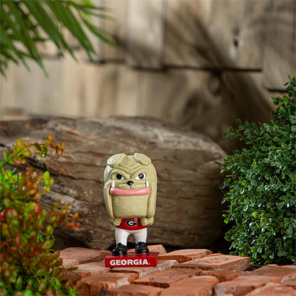 UGA Lil Big Head Hairy Dog Mascot