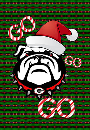 UGA Teetoo Garden Flags