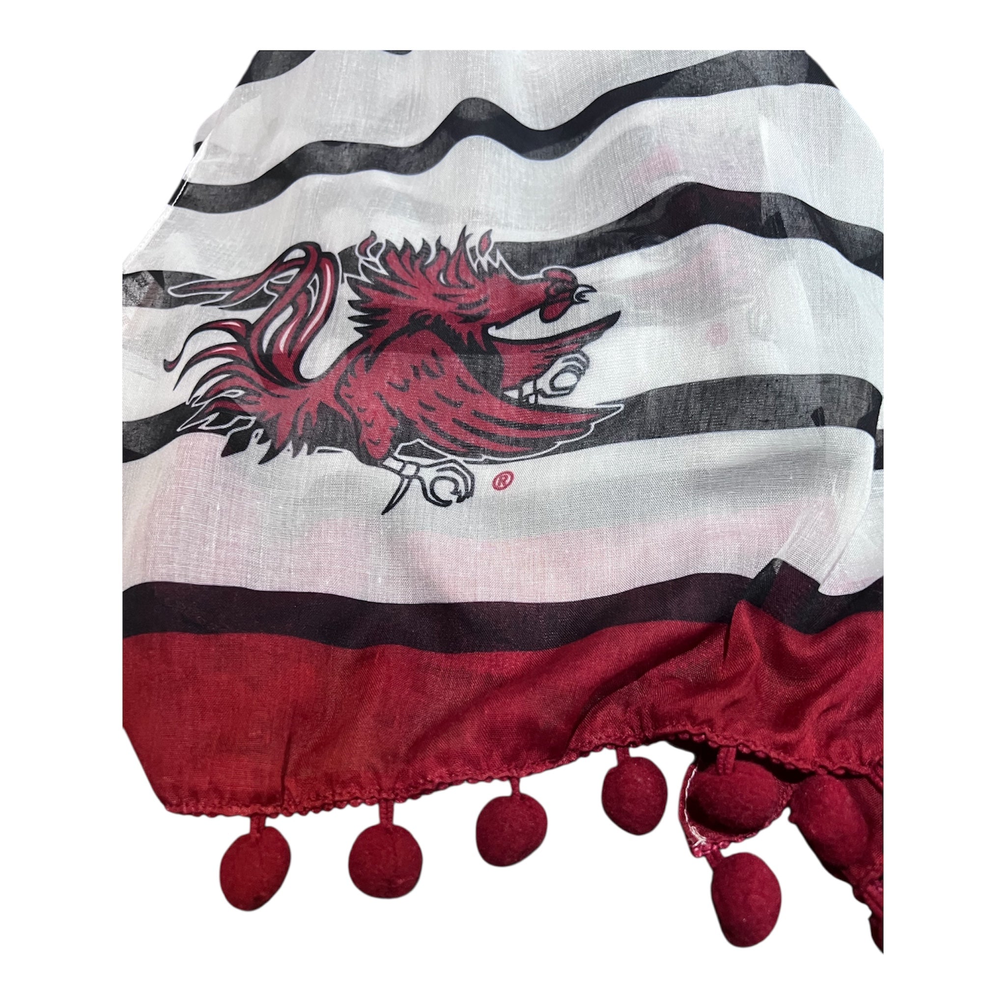 USC Gamecock Dylan Scarf – Universities Forever