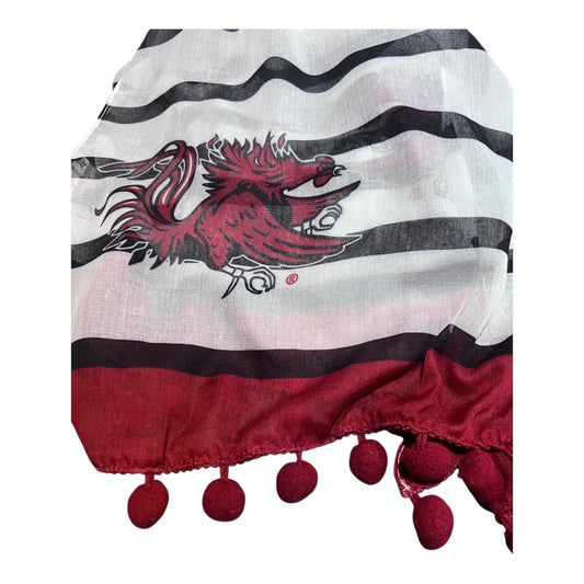 USC Gamecock Dylan Scarf
