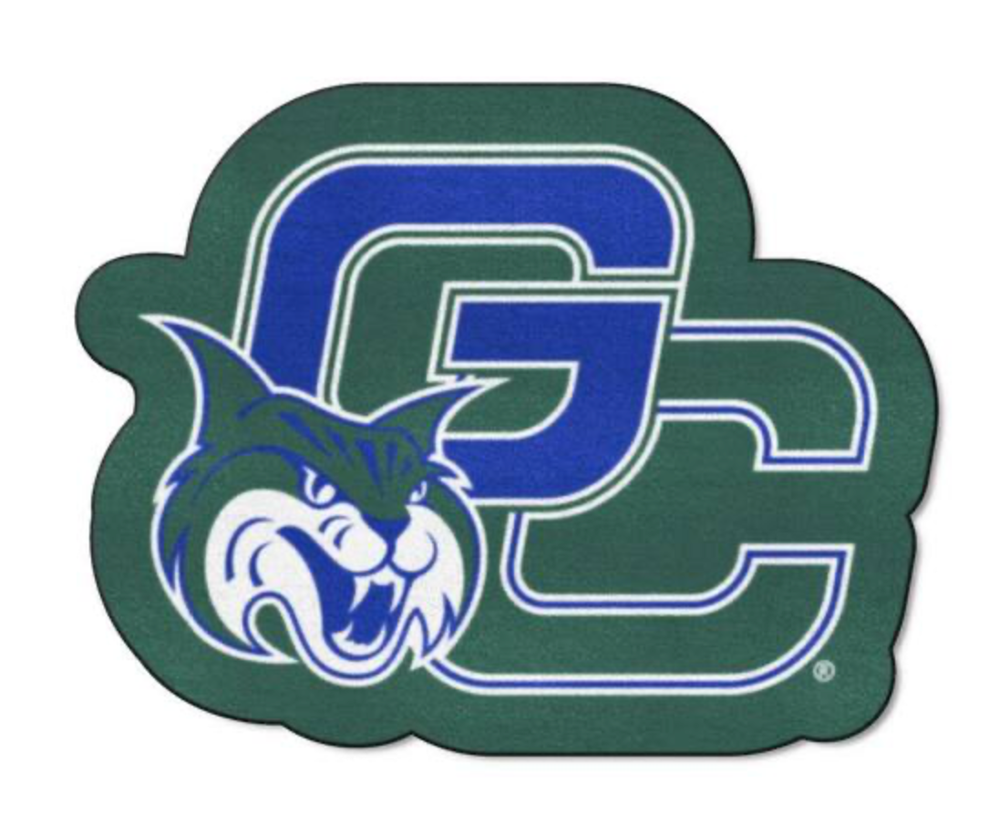 GCSU Rug