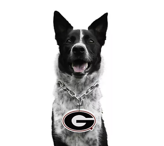 UGA Pet Fan Chain