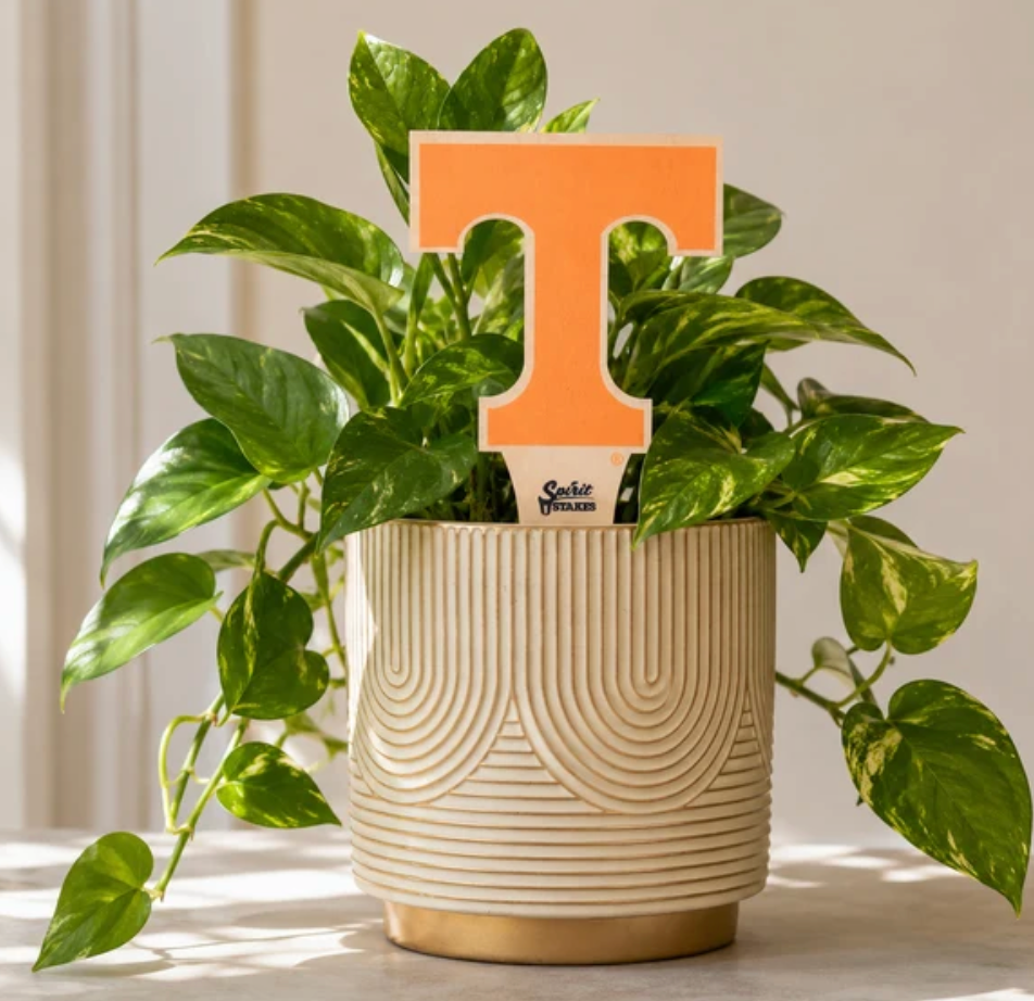 UTN Spirit Stakes Power T Plant Stake 3.75" H × 4.5" W