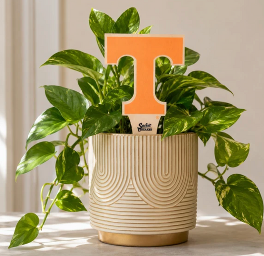 UTN Spirit Stakes Power T Plant Stake 3.75" H × 4.5" W