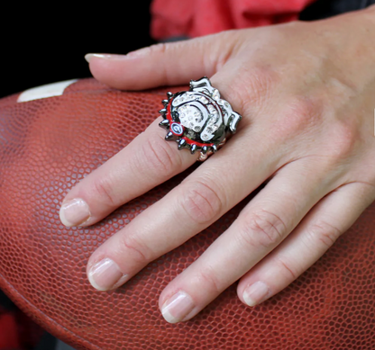 UGA Valentine's Day Bulldogs Crystal Logo Collection