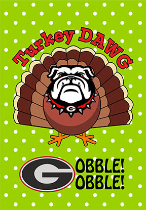 UGA Teetoo Garden Flags