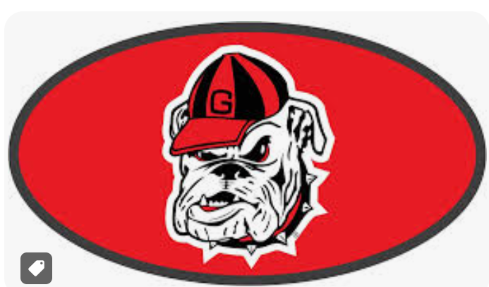 UGA Mirrored Hitch Covers