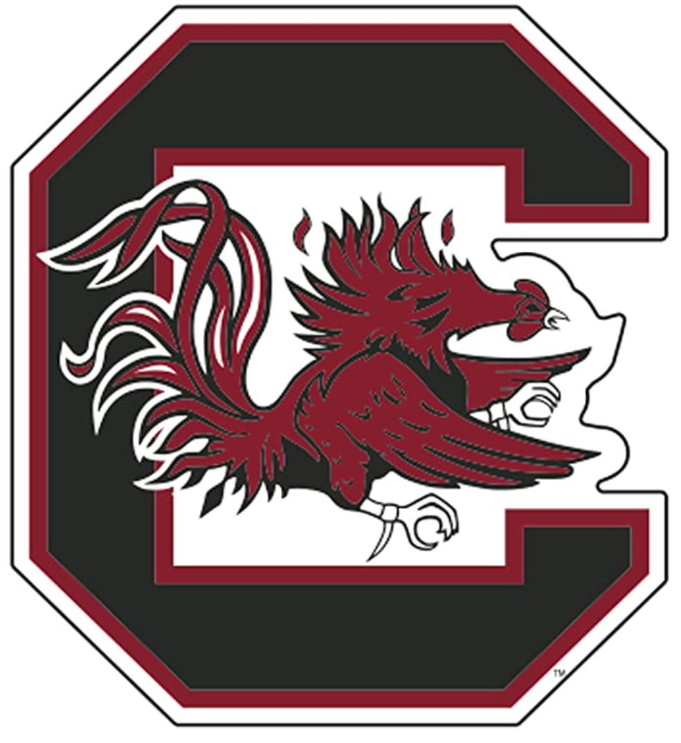 USC Gamecock Magnet