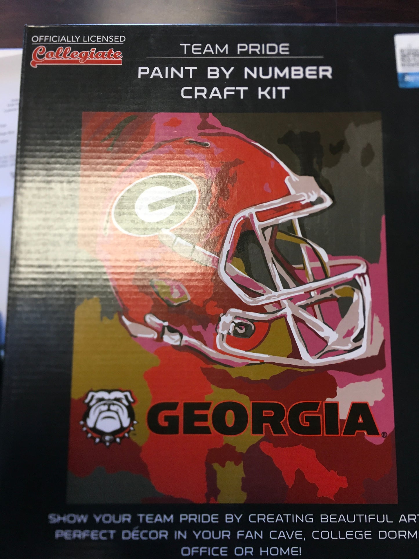 UGA Paint By Number