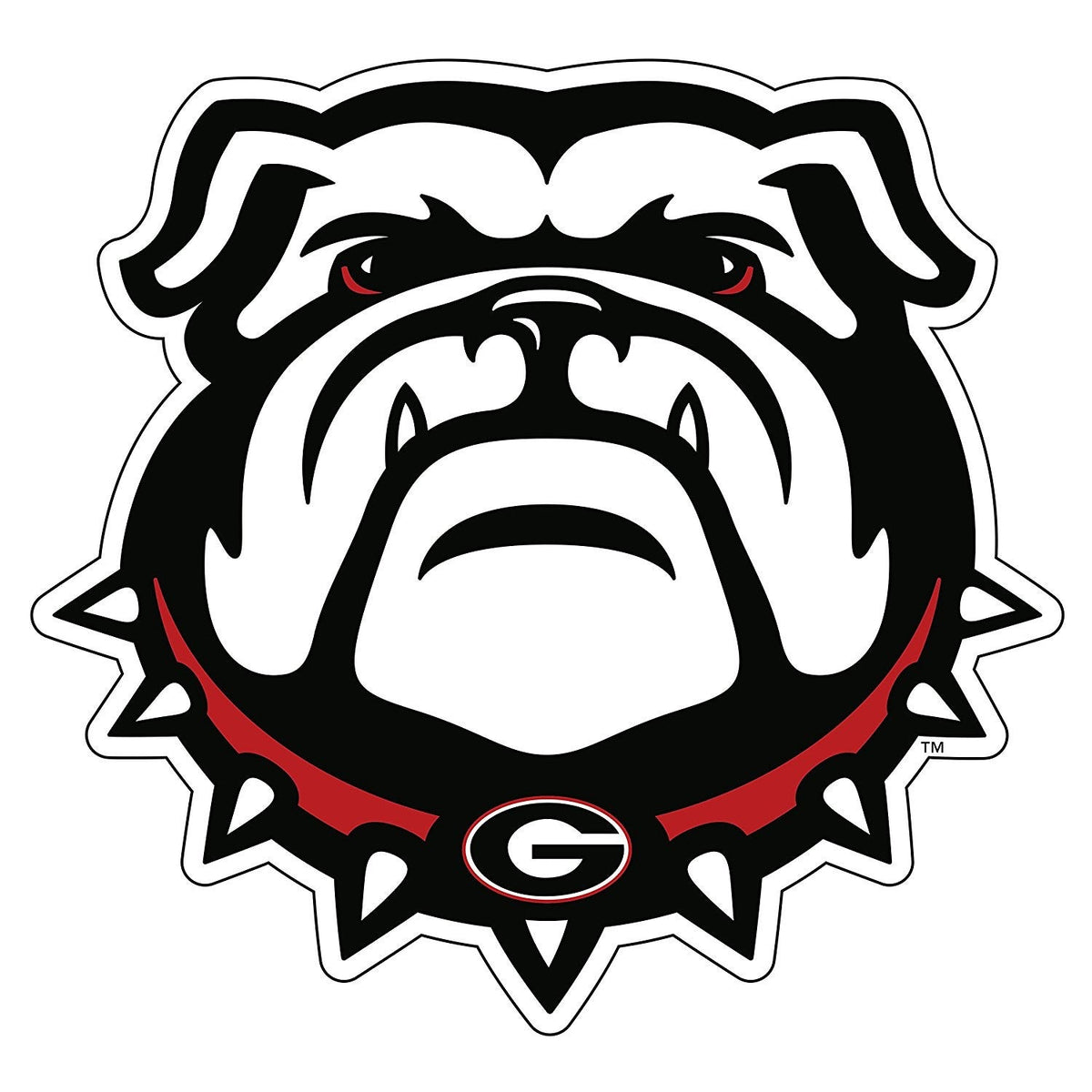 UGA Magnet New Dog